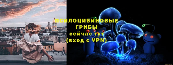 хмурый Бронницы