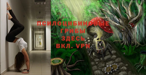 круглые Бородино