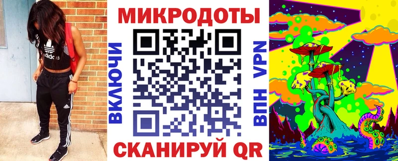 цена   Бердск  Галлюциногенные грибы Psilocybe 